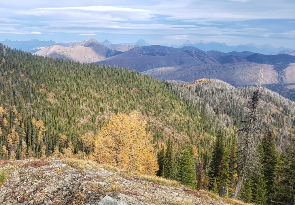 Resolution seeks to release thousands of acres of wilderness study areas from preservaion Resolution seeks to release thousands of acres of wilderness study areas from preservaion