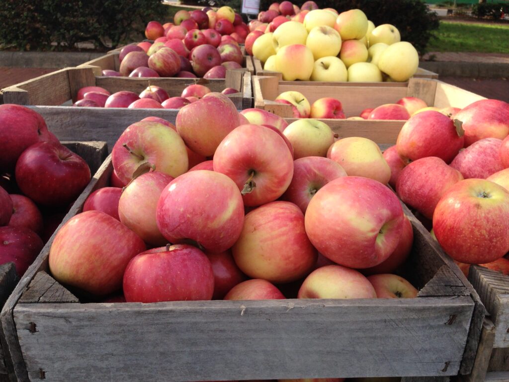 ‘A ton of confusion’: Farmers market SNAP programs push forward amid uncertainty ‘A ton of confusion’: Farmers market SNAP programs push forward amid uncertainty