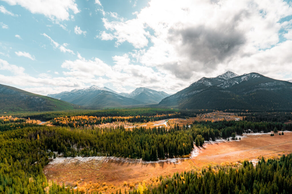 Conservation groups sue to stop logging project near Whitefish