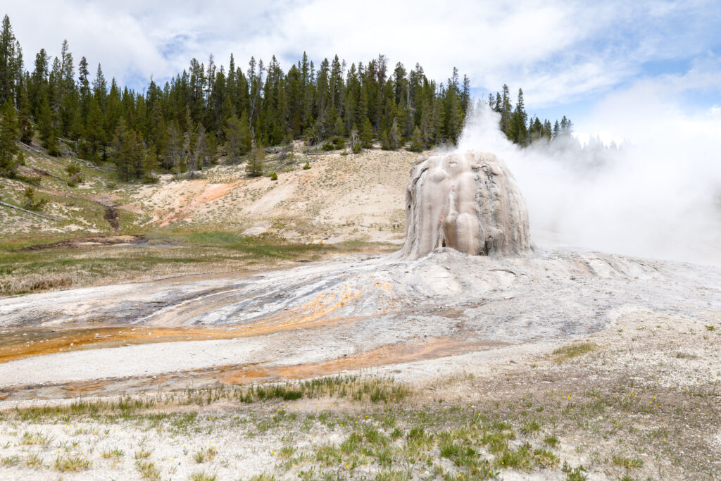 Juvenile gets burned near geyser in Yellowstone National Park