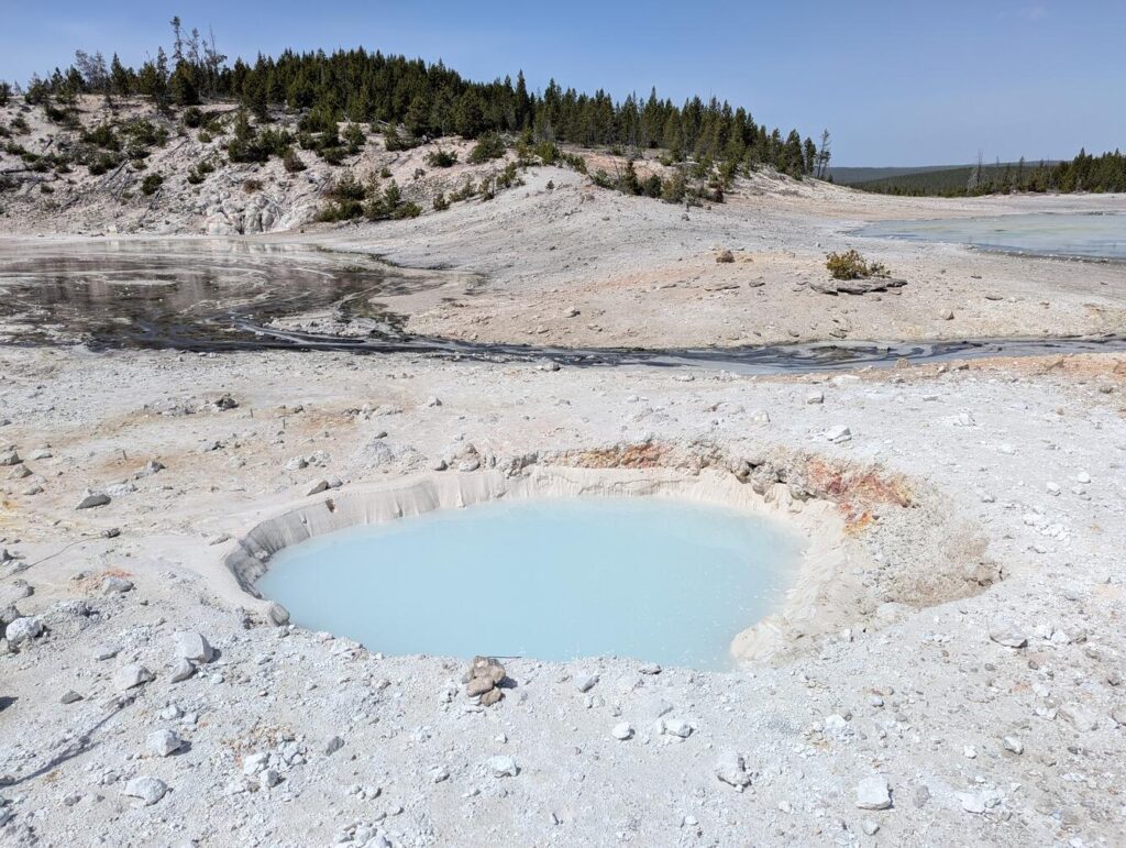 The Christmas time birth of a new feature in Yellowstone Park The Christmas time birth of a new feature in Yellowstone Park
