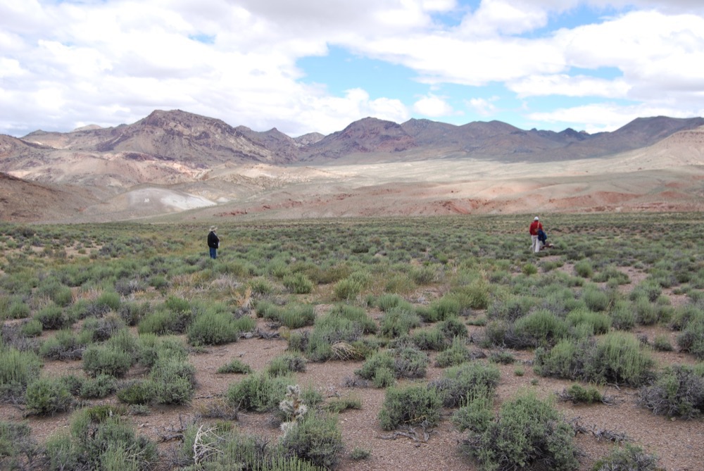 Nevada mine delayed amid lithium price plunge Nevada mine delayed amid lithium price plunge