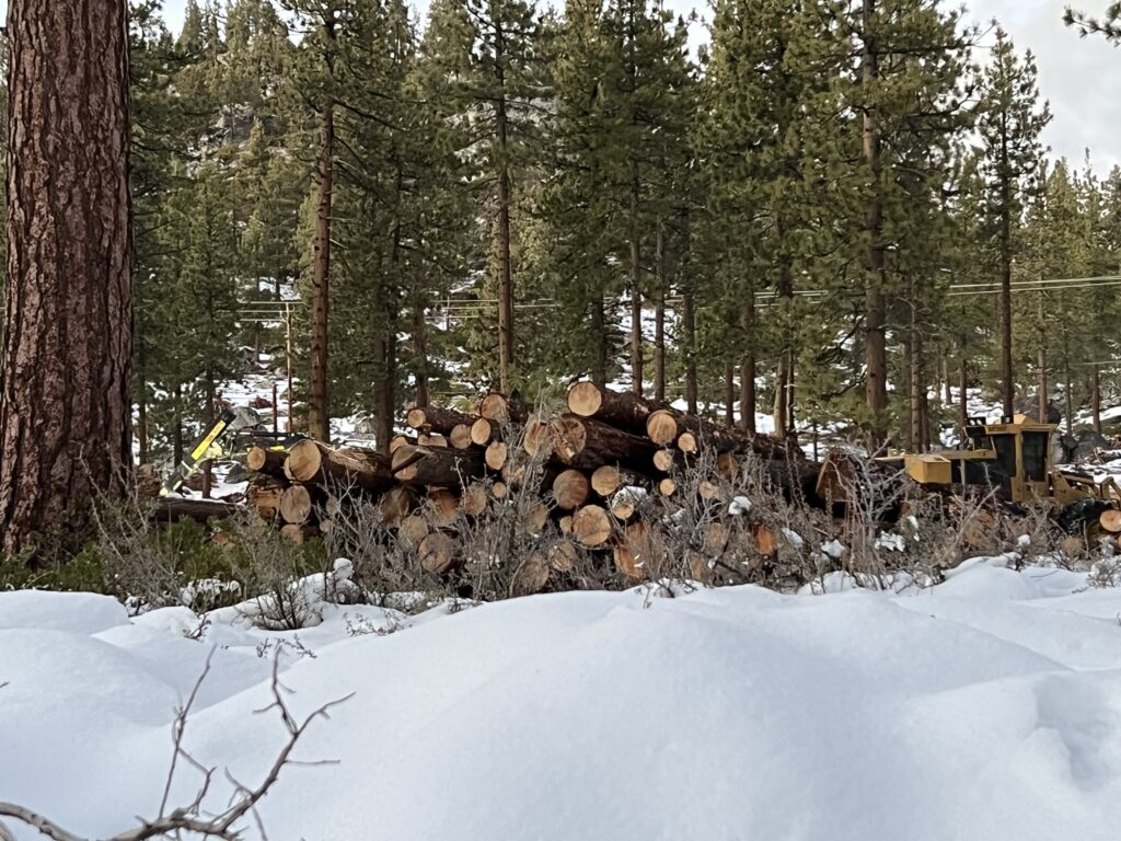Tahoe homeowner ‘blindsided’ by settlement with NV Energy Tahoe homeowner ‘blindsided’ by settlement with NV Energy