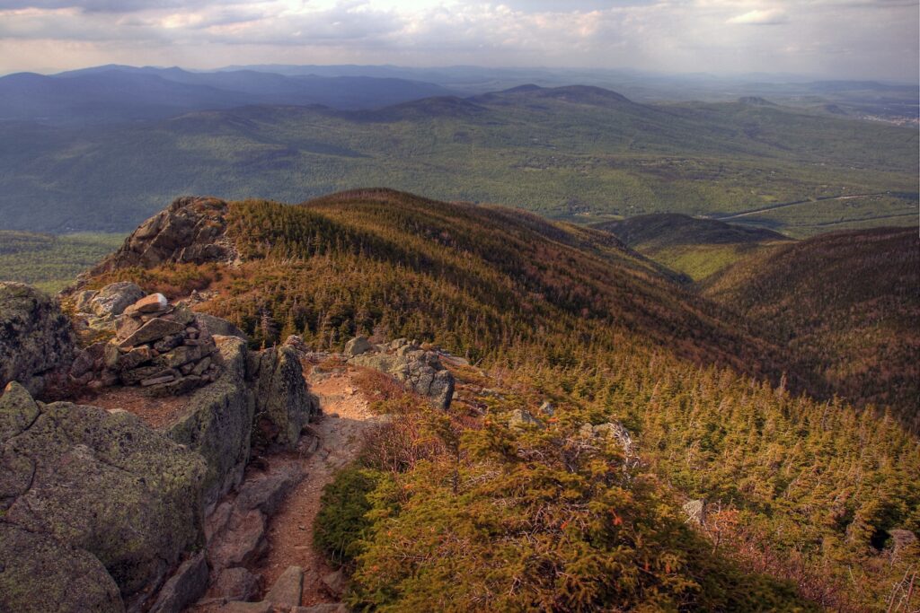 Planned timber harvests in the Whites are not a threat to true ‘old growth’ forests Planned timber harvests in the Whites are not a threat to true ‘old growth’ forests