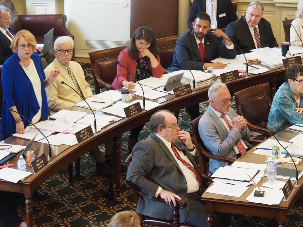 New Hampshire Senate approves $15.9 billion state budget plan New Hampshire Senate approves $15.9 billion state budget plan