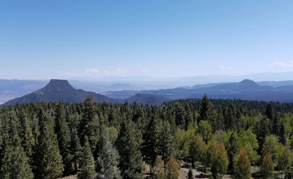 Collaboration between Ohkay Owingeh, U.S.F.S. and BLM gives tribe more ...