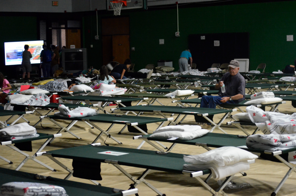 The southeastern fires are officially a federal disaster. Here’s how survivors can ask for help The southeastern fires are officially a federal disaster. Here’s how survivors can ask for help