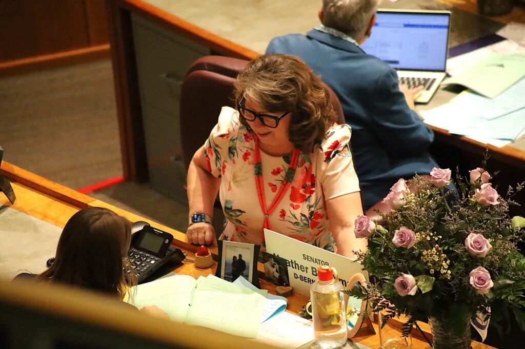 NM senator wants more youth detention centers, treatment facilities