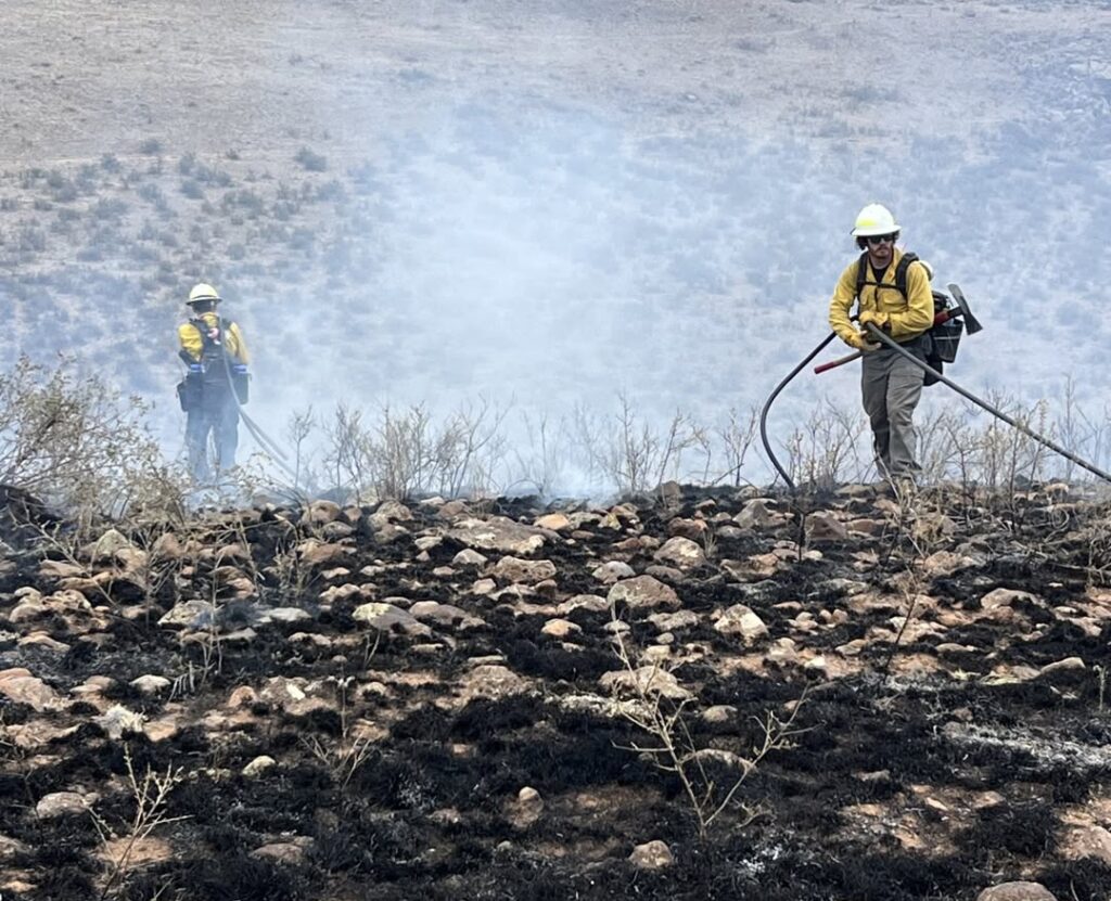 NM Gov declares emergency for Trout Fire, as health department warns of smoke NM Gov declares emergency for Trout Fire, as health department warns of smoke