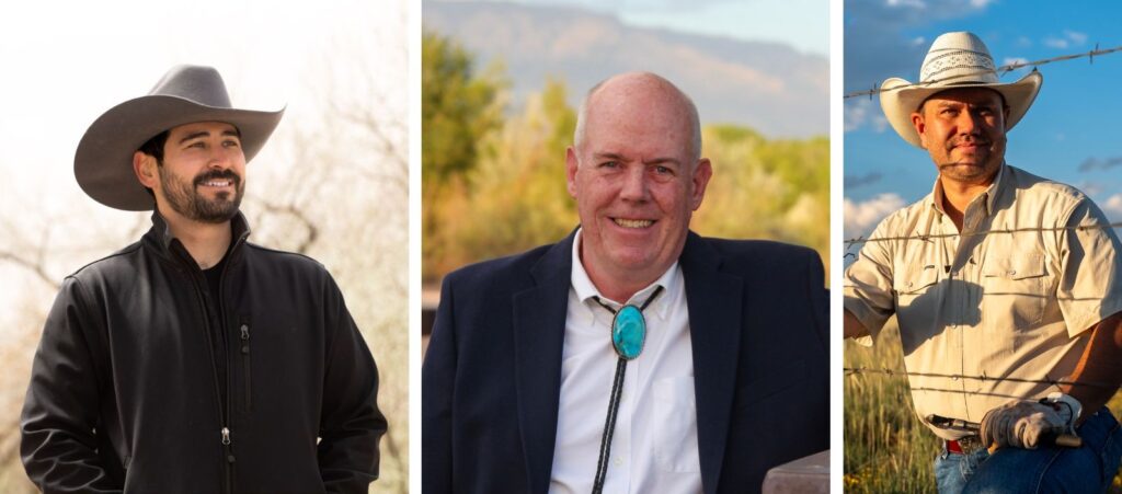 Three people vie for Democratic nomination for NM public lands commissioner Three people vie for Democratic nomination for NM public lands commissioner