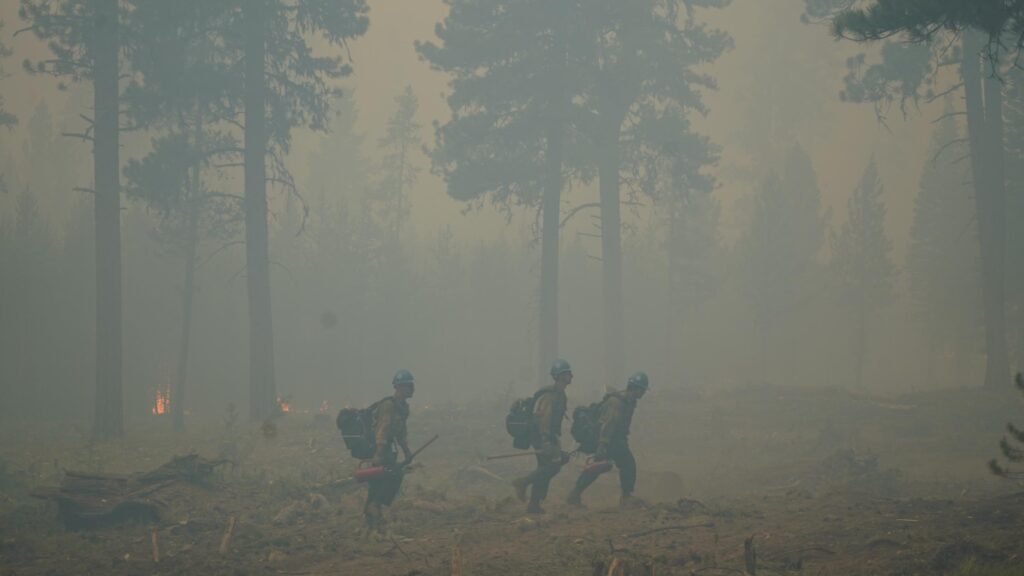 Wildfires are expensive: Stop making Oregonians pay the bill Wildfires are expensive: Stop making Oregonians pay the bill