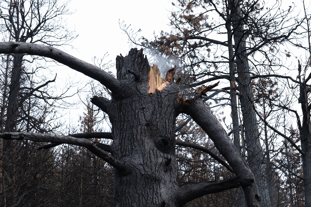 Oregonians deserve a smarter approach to wildfires Oregonians deserve a smarter approach to wildfires