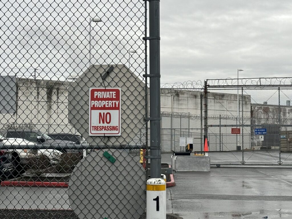 Asylum seeker taken by ICE outside Portland immigration court to be immediately released Asylum seeker taken by ICE outside Portland immigration court to be immediately released