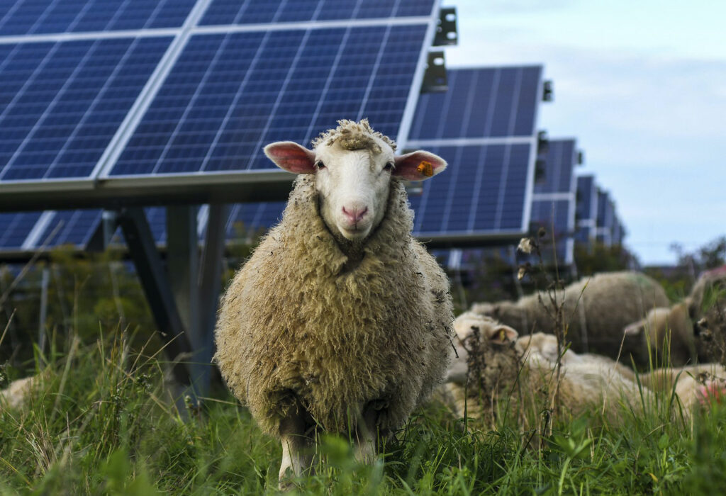 Pennsylvania could be on the sidelines as states line up to battle Trump over climate Pennsylvania could be on the sidelines as states line up to battle Trump over climate