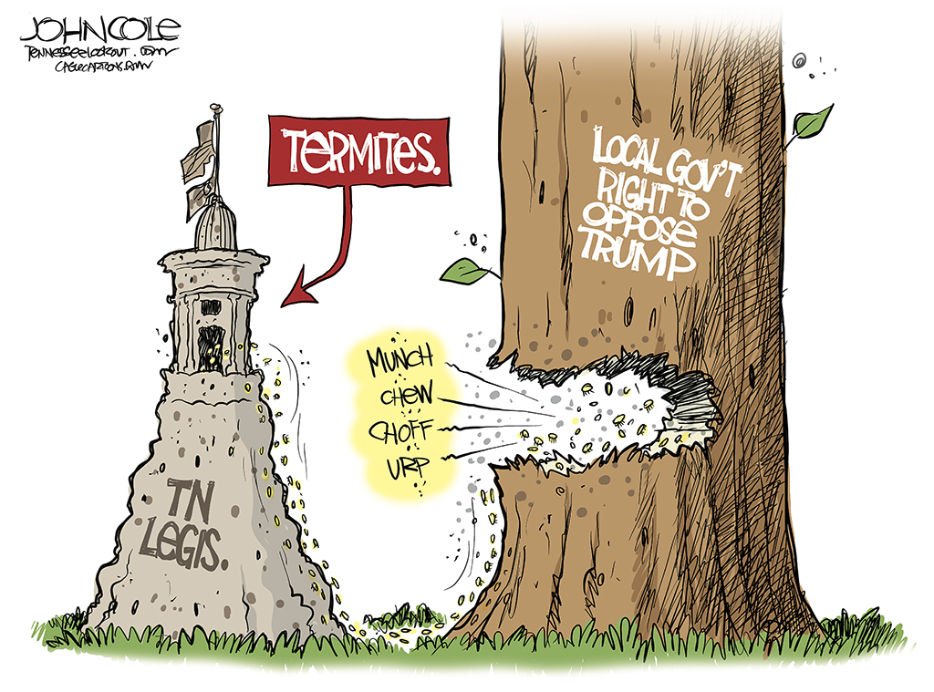 John Cole’s Tennessee: Invasive pests. John Cole’s Tennessee: Invasive pests.