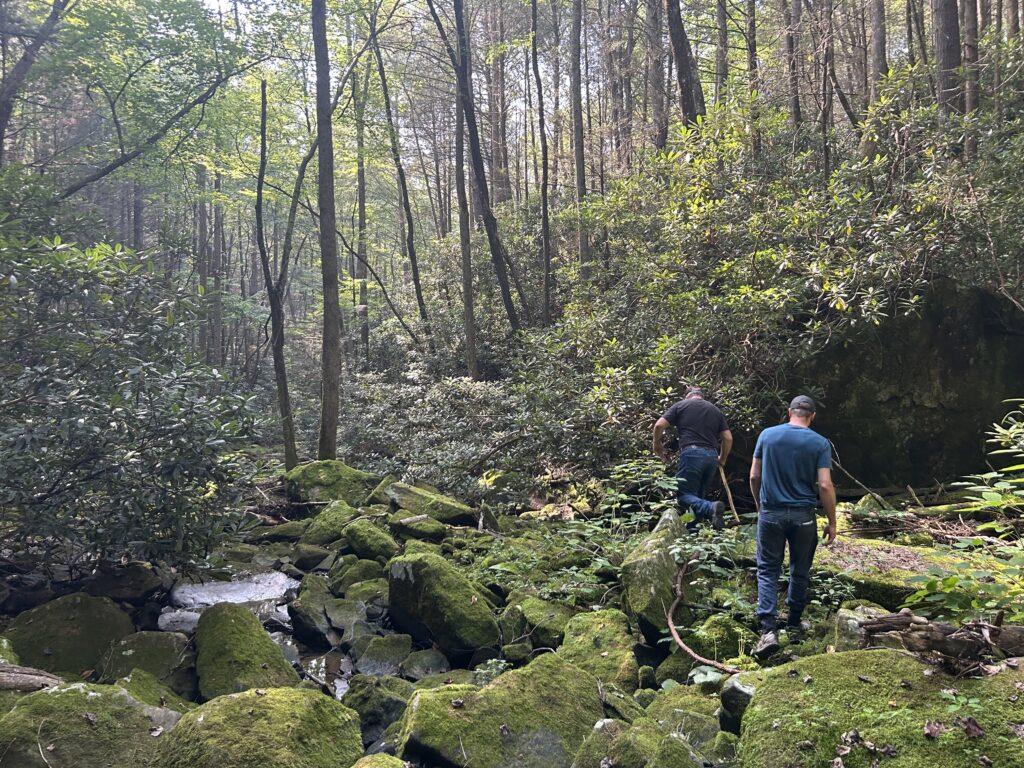 Protected lands at Tennessee’s Obed Wild and Scenic River expand thanks to tireless enthusiasts Protected lands at Tennessee’s Obed Wild and Scenic River expand thanks to tireless enthusiasts