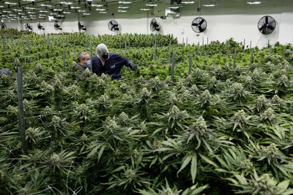 Joint cannabis commission holds first meeting amid push for regulated market Joint cannabis commission holds first meeting amid push for regulated market