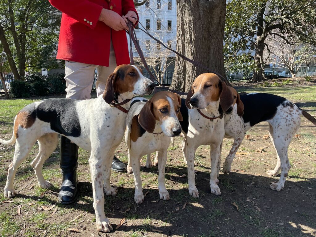 ‘Right to retrieve’ legal challenge dismissed as state considers new rules  ‘Right to retrieve’ legal challenge dismissed as state considers new rules 