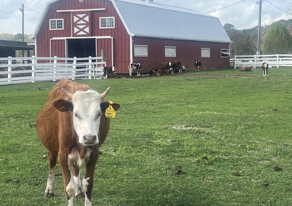 Virginia’s agriculture at risk after Trump administration’s cuts to NOAA Virginia’s agriculture at risk after Trump administration’s cuts to NOAA