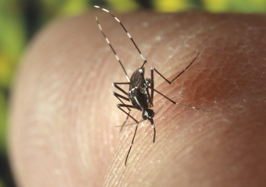 Wisconsin reports two deaths from West Nile virus Wisconsin reports two deaths from West Nile virus