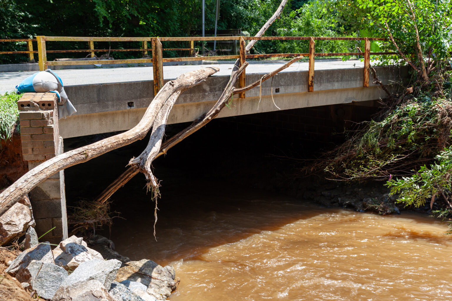 Chantal wreaks havoc in NC as state lawmakers try to repeal an ambitious climate change goal muddy water flows under a bridge