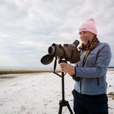 On a Florida beach, conservation land may yield to parking and shops On a Florida beach, conservation land may yield to parking and shops