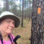 Private company controls access to public land at Florida national park Private company controls access to public land at Florida national park