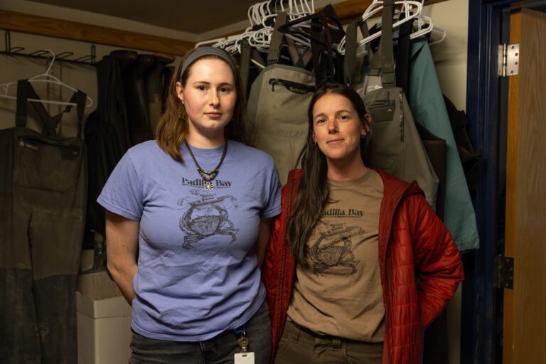 In northwest Washington, invasive green crabs threaten Padilla Bay’s eelgrass In northwest Washington, invasive green crabs threaten Padilla Bay’s eelgrass