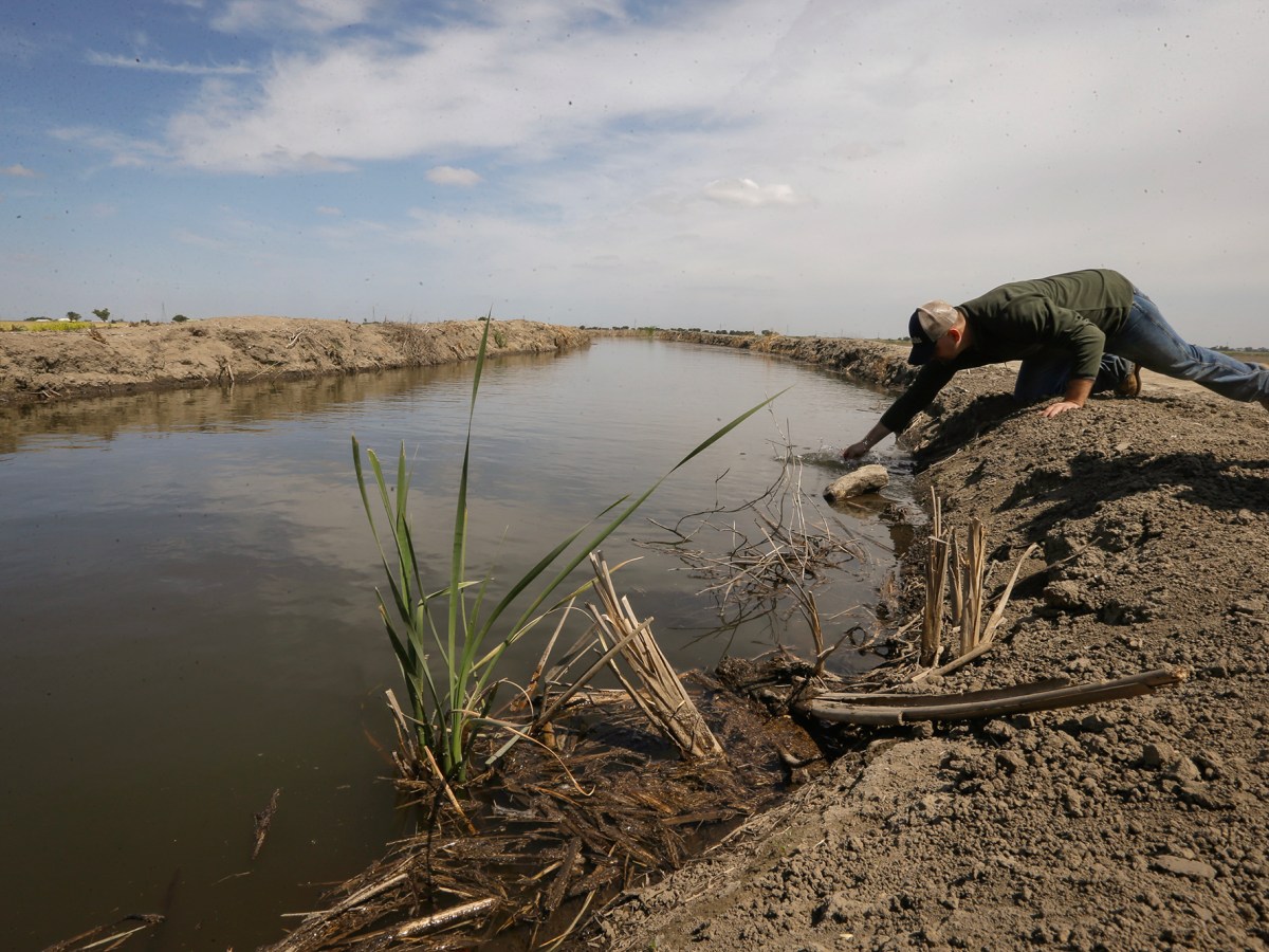 Here we go again: California prepares to battle Trump over environmental policies A person leans over and reaches into an irrigation canal. Dirt lines the bank of the canal, as the stream flows away from the frame. The person is a farmer and is conducting a test of the water.