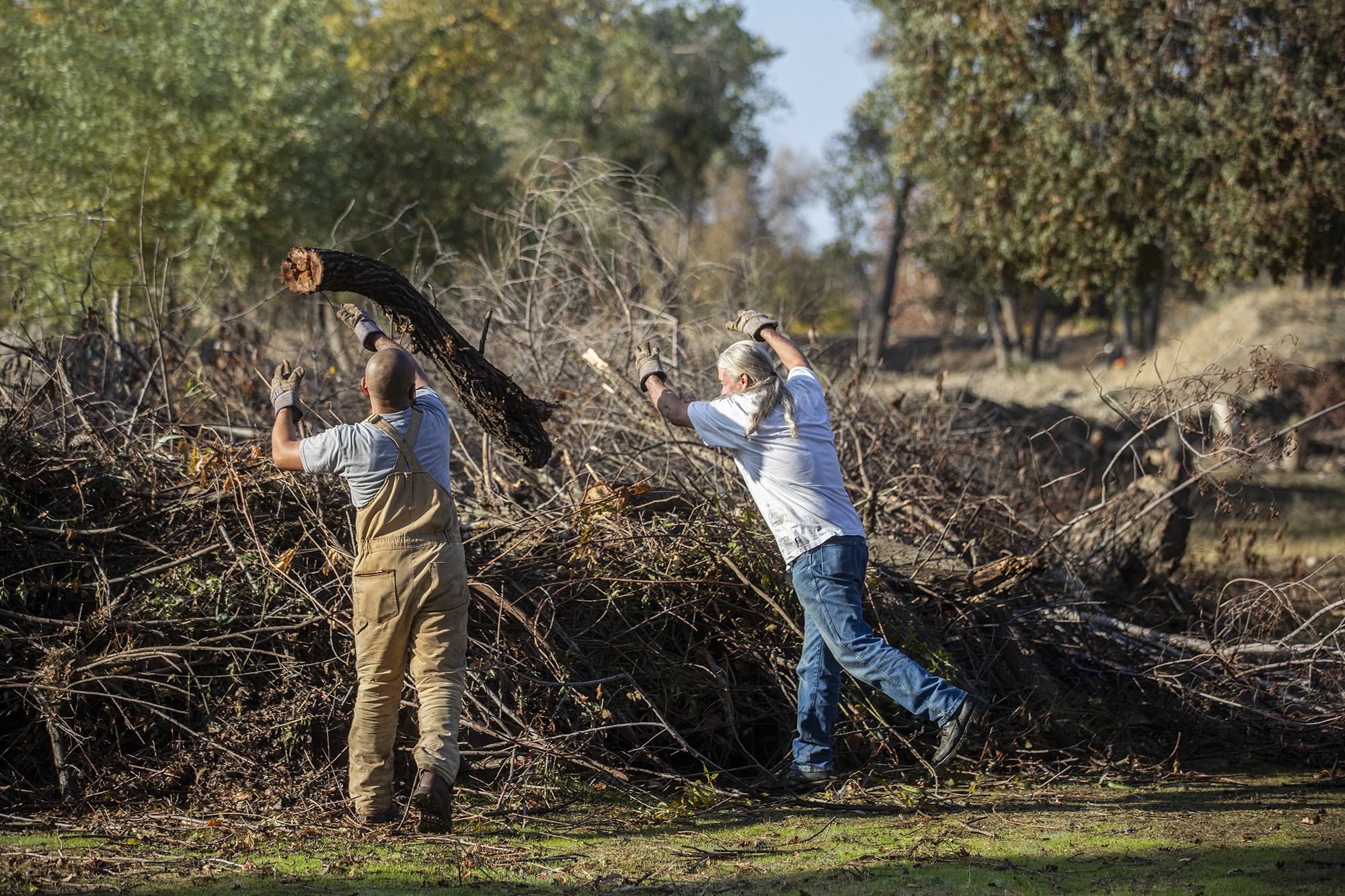 California got millions to train workers in disaster relief, but it’s leaving money on table Two people in mid-throw of a tree trunk into a pile of branches and tree trunks in a park. The two people are wearing dirty work clothes as they pile more branches onto the pile.