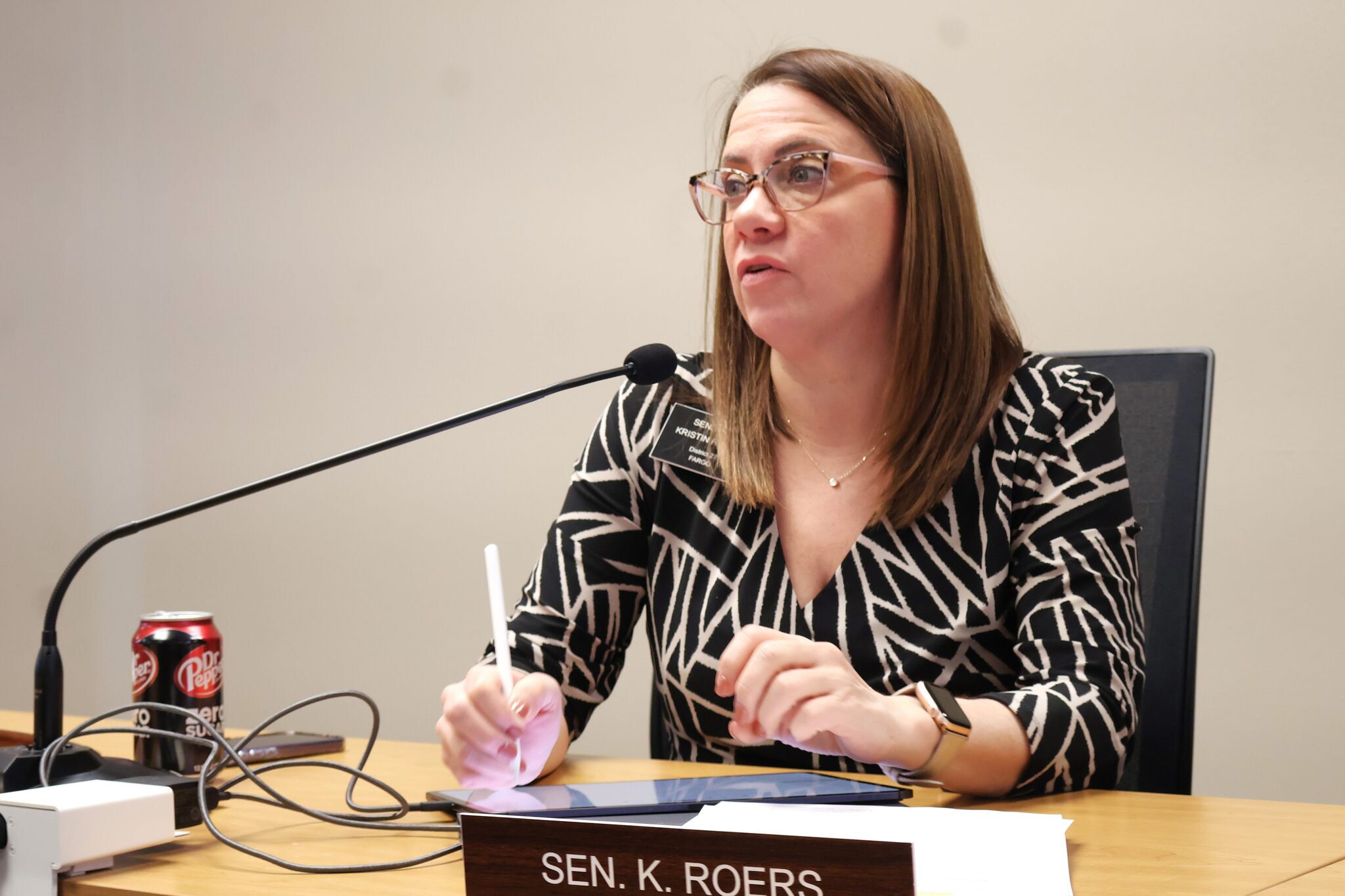 Requiring public comment period at local meetings debated at North Dakota Legislature North Dakota Legislature to put three ballot measures to voters in 2026
