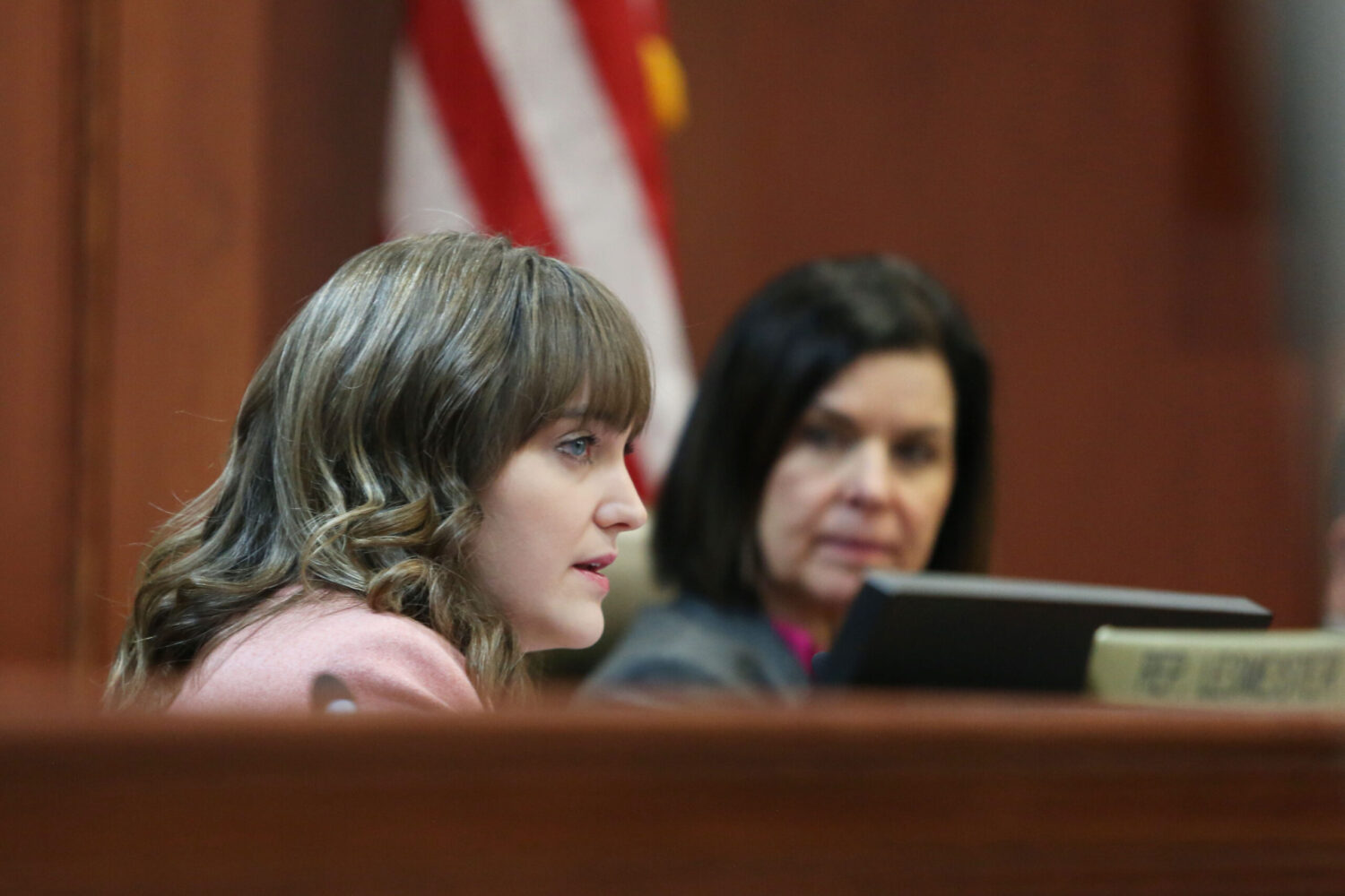 Anti-abortion group is behind calls labeled a ‘scam’ by state election official Rep. Erin Healy, D-Sioux Falls, speaks during a House State Affairs Committee meeting on Feb. 8, 2024 in the Capitol. (Makenzie Huber/South Dakota Searchlight)