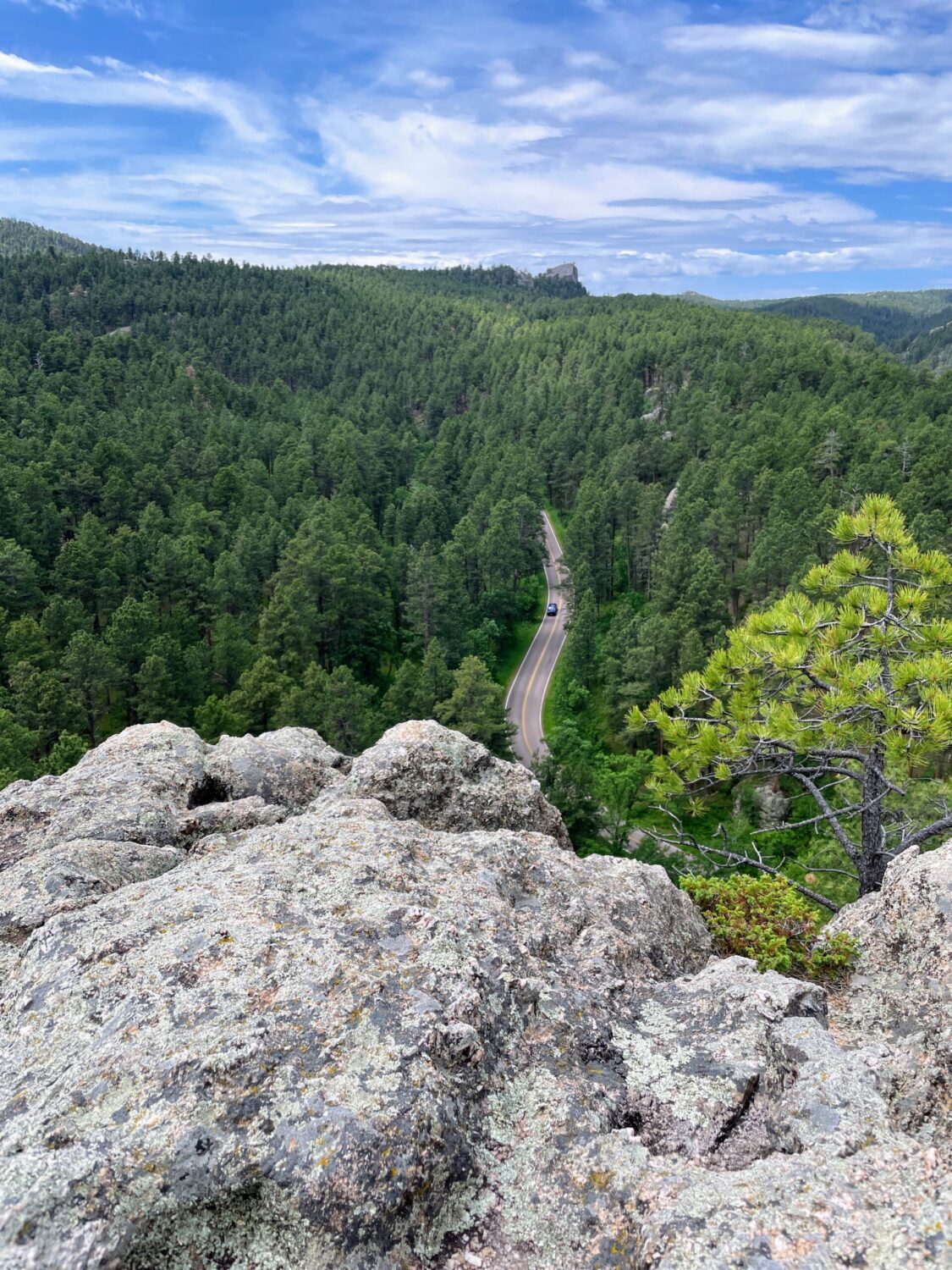 ‘Big, beautiful’ funding for Trump statue garden could put an ugly blemish in the Black Hills A June 2025 view of Iron Mountain Road in South Dakota's Black Hills. (Seth Tupper/South Dakota Searchlight)