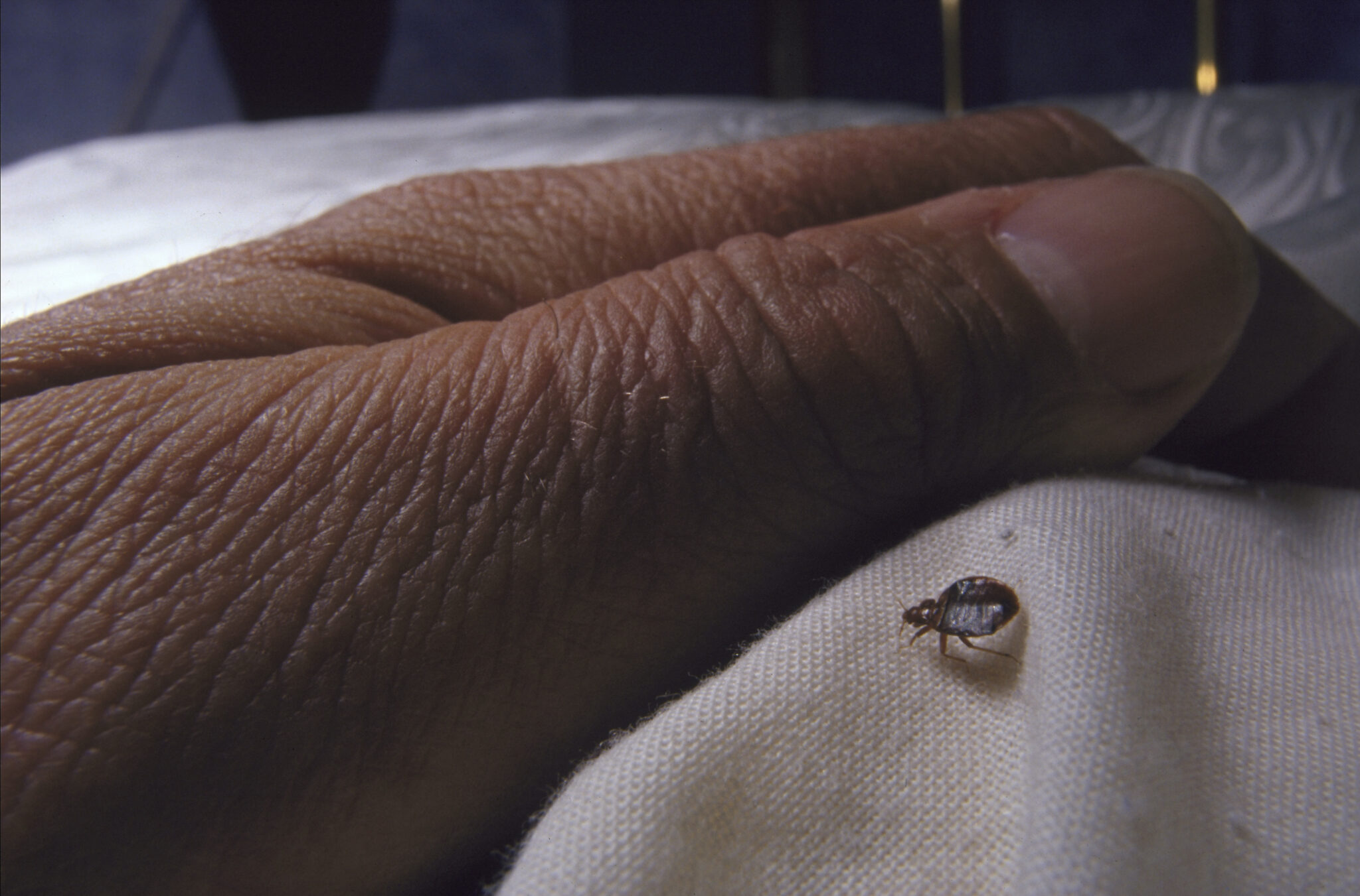 Nebraska Legislature lets Pillen’s veto bite bedbug bill Nebraska’s largest public housing agency sues state over new eviction counsel law