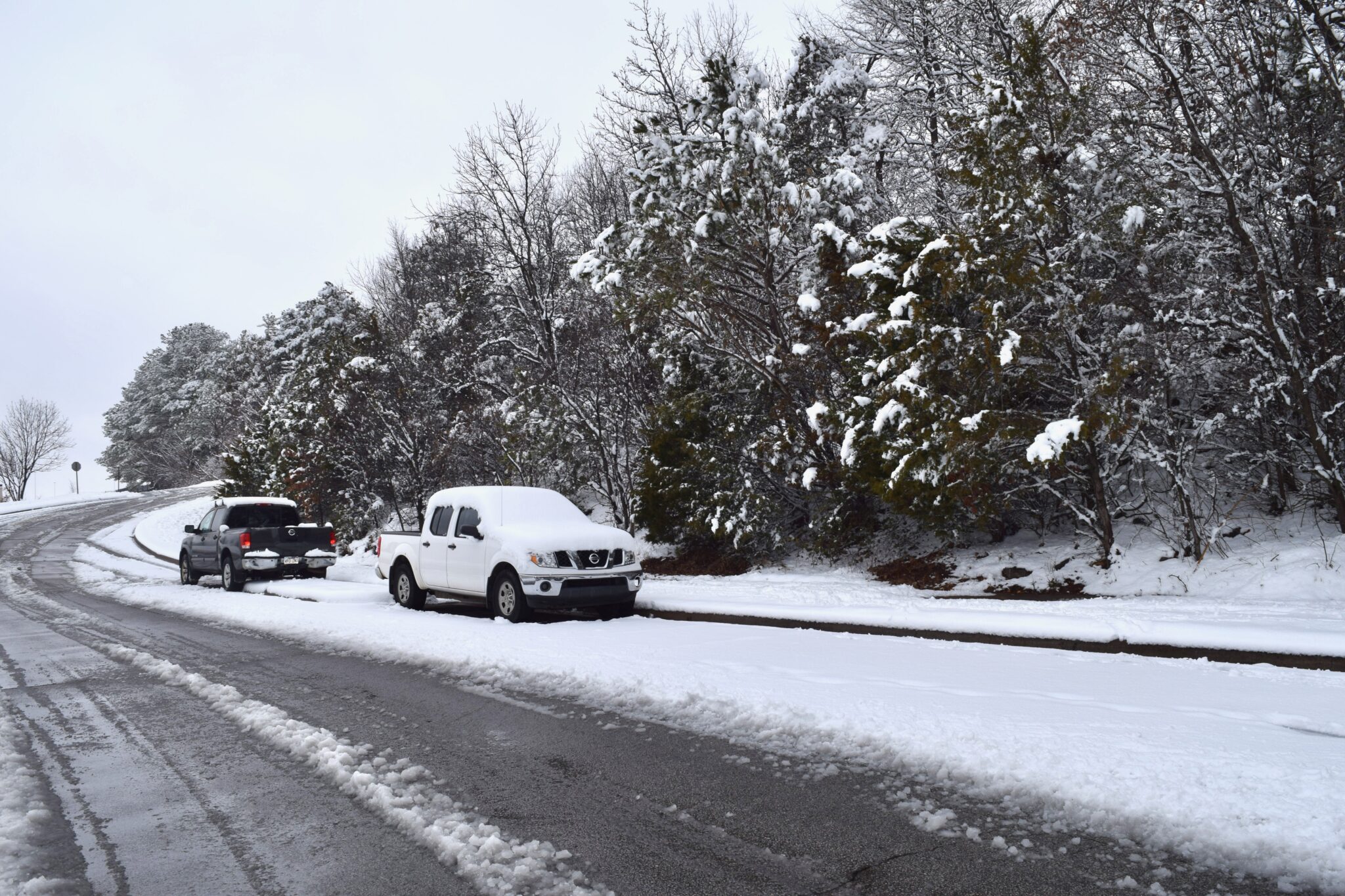 Thousands of Arkansans without power as winter storm continues Cars remain covered in snow on Jan. 10, 2025 in Fayetteville following winter weather that brought widespread snowfall across Arkansas