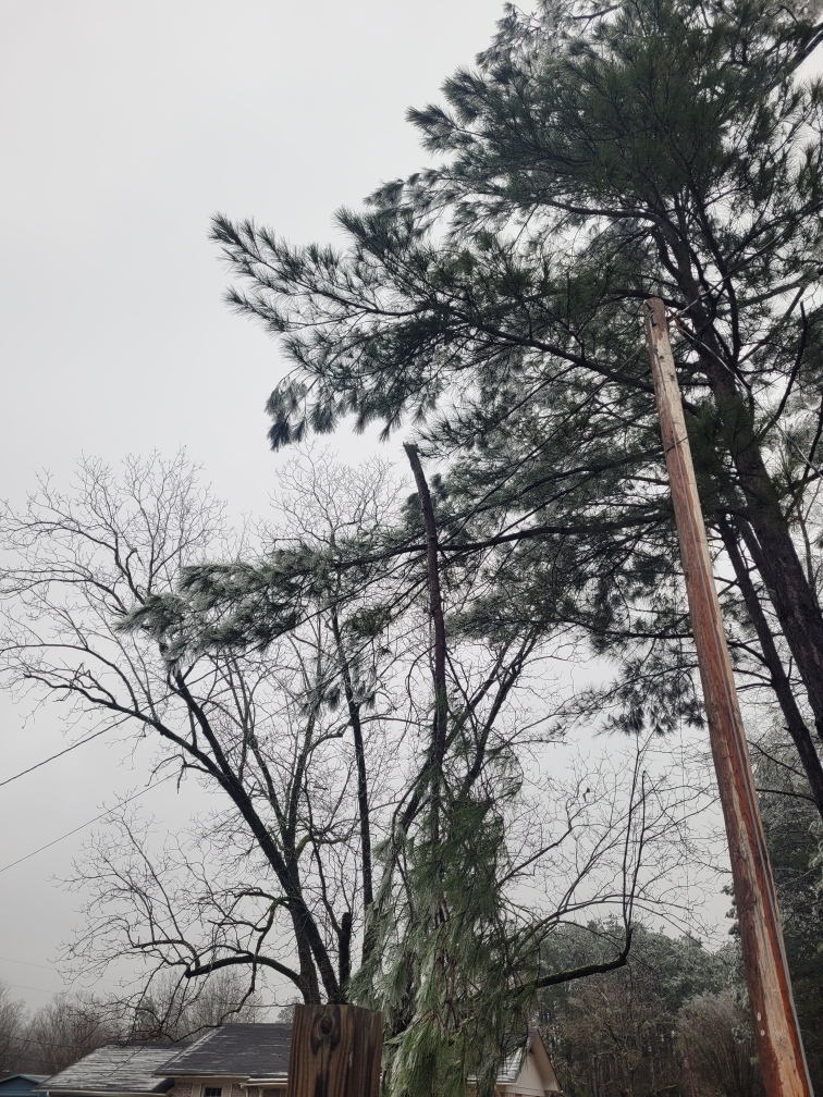Thousands of Arkansans without power as winter storm continues Thousands of Arkansans without power as winter storm continues