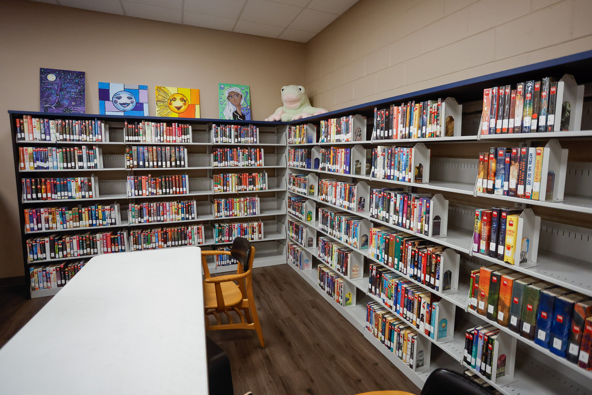 Calls to remove LGBTQ-themed books from Ozark library lead to tense meeting Shelves of books in a library