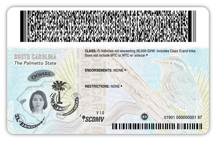 SC DMV unveils new driver’s license design featuring the state flower, bird and reptile SC DMV unveils new driver’s license design featuring the state flower, bird and reptile