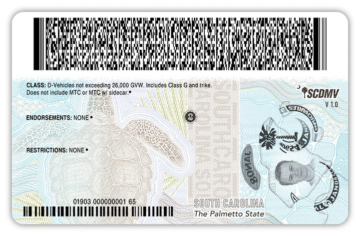 SC DMV unveils new driver’s license design featuring the state flower, bird and reptile SC DMV unveils new driver’s license design featuring the state flower, bird and reptile