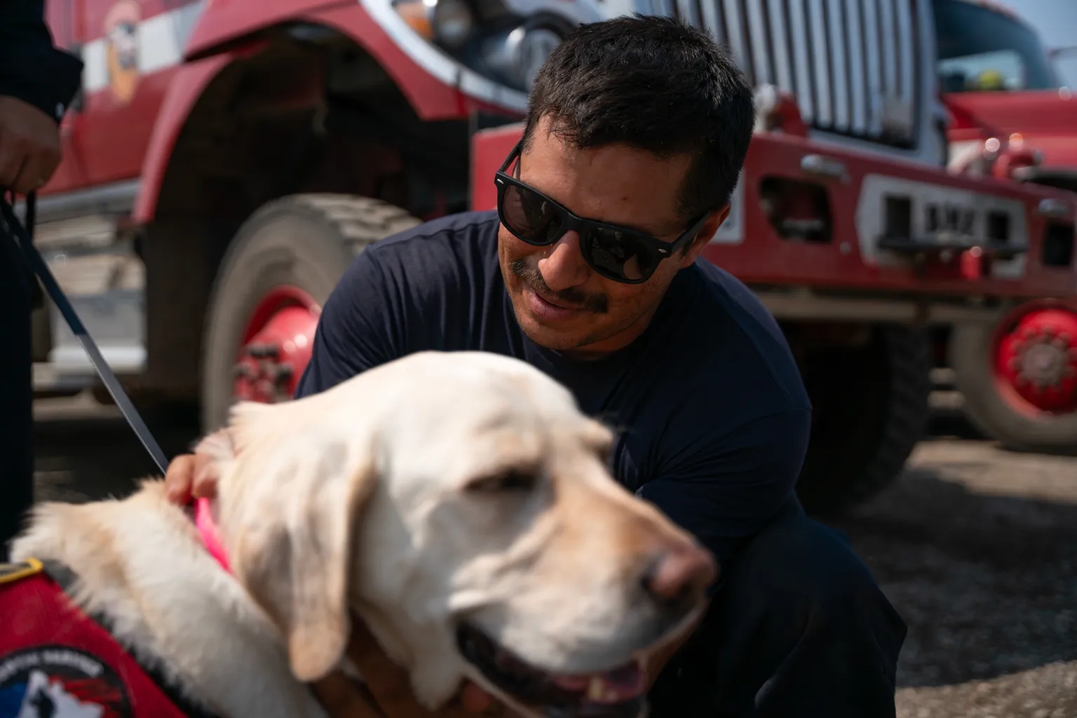 California battles onslaught of wildfires with help from mutual aid A firefighter embraces Ember, a therapy dog, at the Park Fire command post in Chico on Aug. 2, 2024, after returning from a long shift fighting the Park Fire, one of several intense wildfires in California this year. Ember and other therapy dogs are available to crew members at the command post to alleviate stress. (Photo by Florence Middleton/CalMatters)