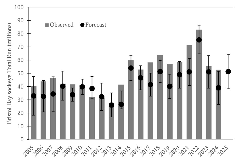 Strong sockeye salmon return expected next year in Alaska’s Bristol Bay region, biologists say Annual observed total run of sockeye salmon in Bristol Bay compared to preseason total run forecasts from 2005 to 2025. Error bars represent 80% confidence intervals of forecasts. (Graph provided by the Alaska Department of Fish and Game)