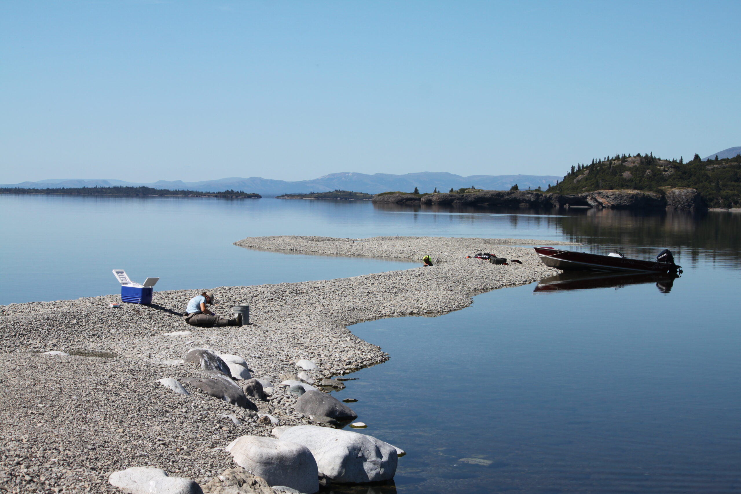 Freshwater seals in Alaska’s biggest lake are genetically different from saltwater seals Donna Hauser of the University of Alaska Fairbanks works on a beach spit at Iliamna Lake collecting seal scat for genetic testing. Hauser collected the samples in the summers of 2015 and 2017. (Photo by Peter Westley/University of Alaska Fairbanks)