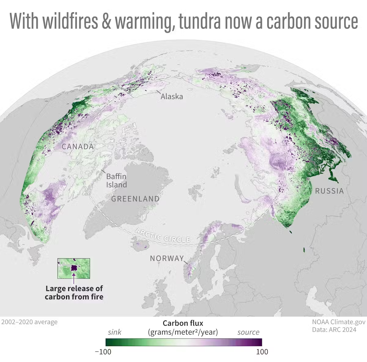 Arctic has changed dramatically in just a couple of decades Large parts of the Arctic that once took up more carbon that they released have become net carbon sources in recent years, contributing to climate change. (Arctic Report Card 2024 image, NOAA Climate.gov)