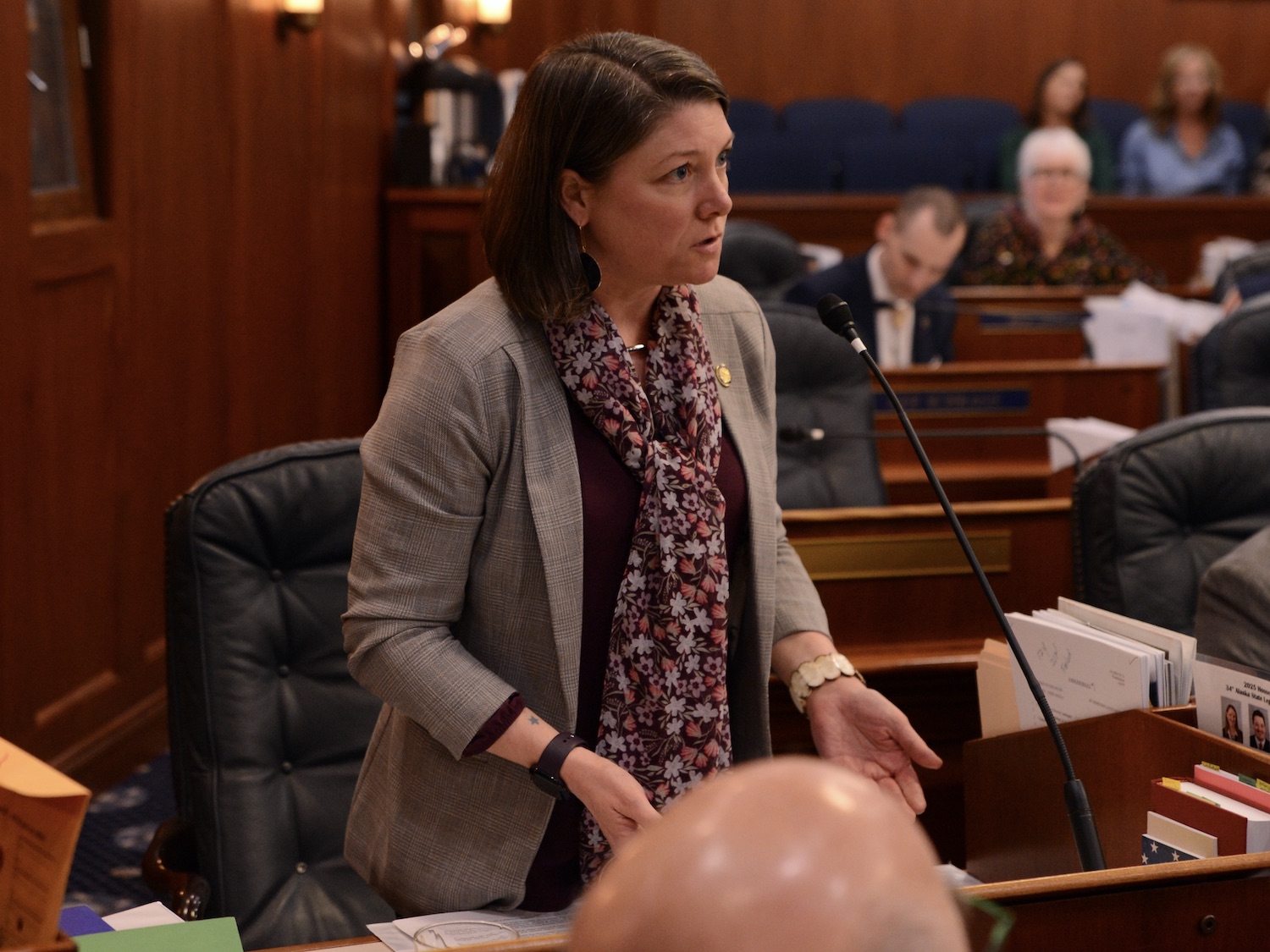 Freshmen lawmakers reflect on their first session in the Alaska State Legislature Freshmen lawmakers reflect on their first session in the Alaska State Legislature