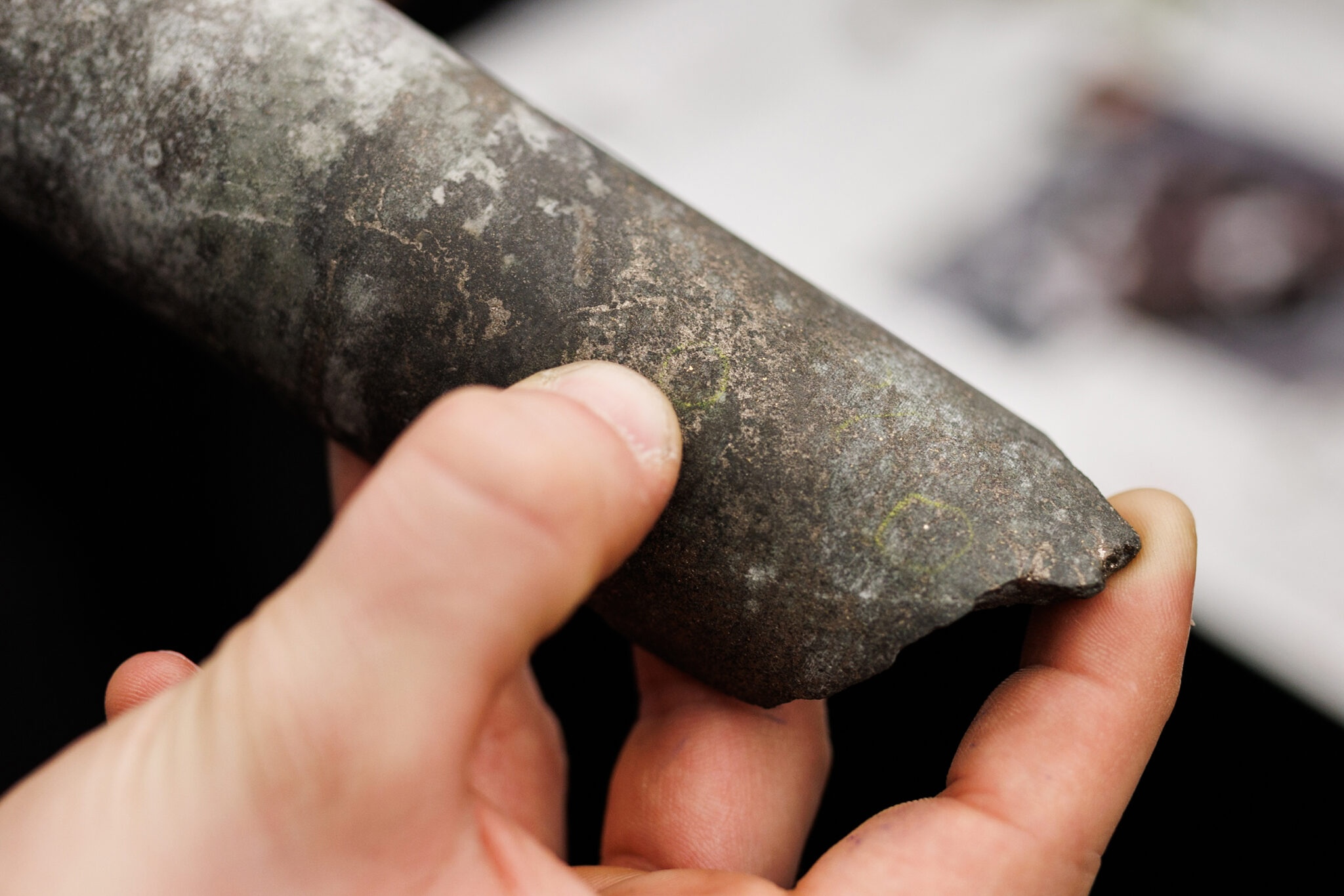 In Canada’s ‘Silicon Valley’ of mining, speculators power a hunt for Alaska’s minerals A geologist shows off gold deposits in a core sample at Roundup. (Photo by Jesse Winter for Northern Journal and Inside Climate News)