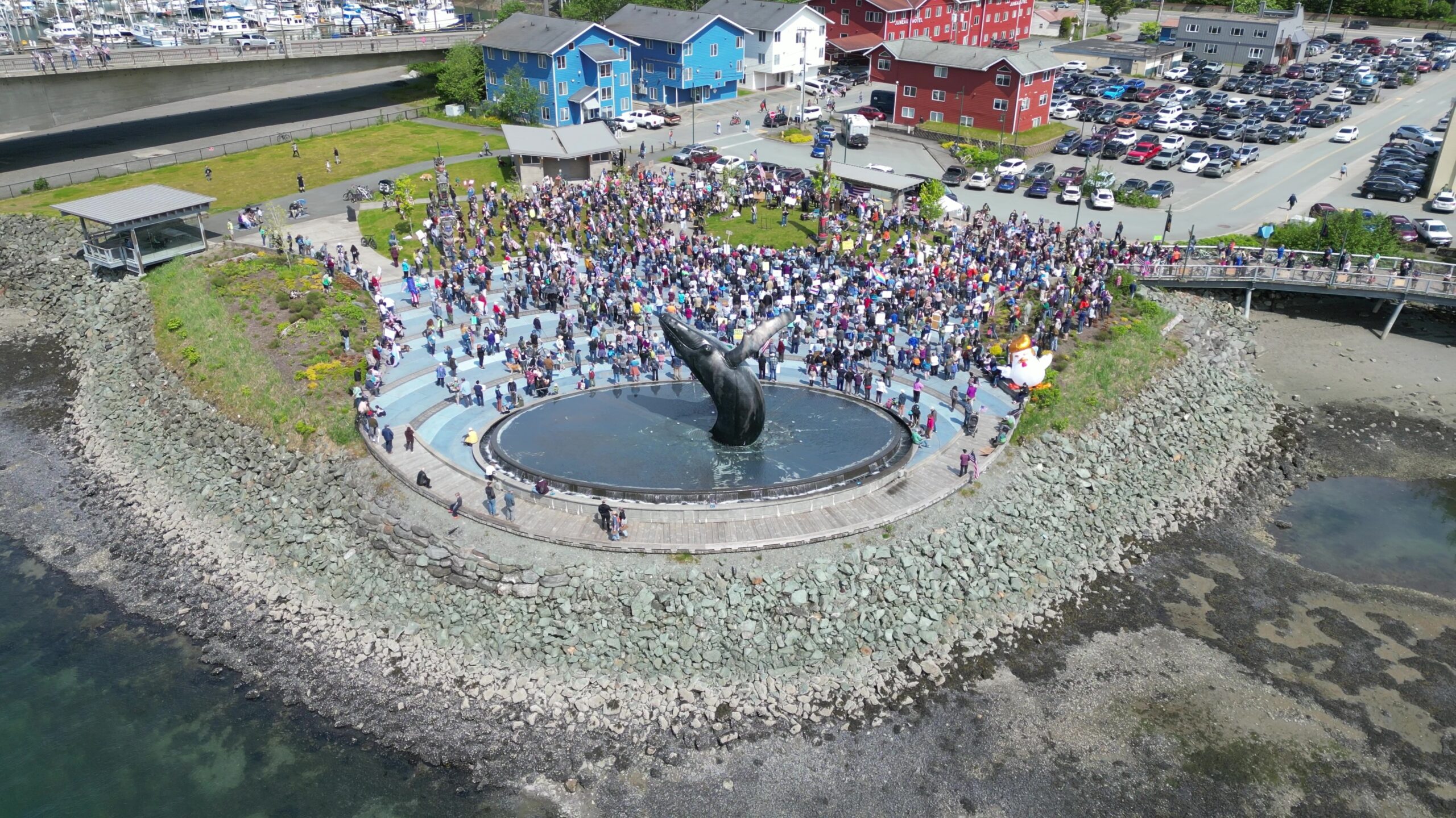 Alaskans rally across the state for democracy and ‘No Kings’ protest against Trump A large crowd gathered in Juneau for the "No Kings" protest on June 14, 2025 (Photo courtesy of Richard Carstensen)