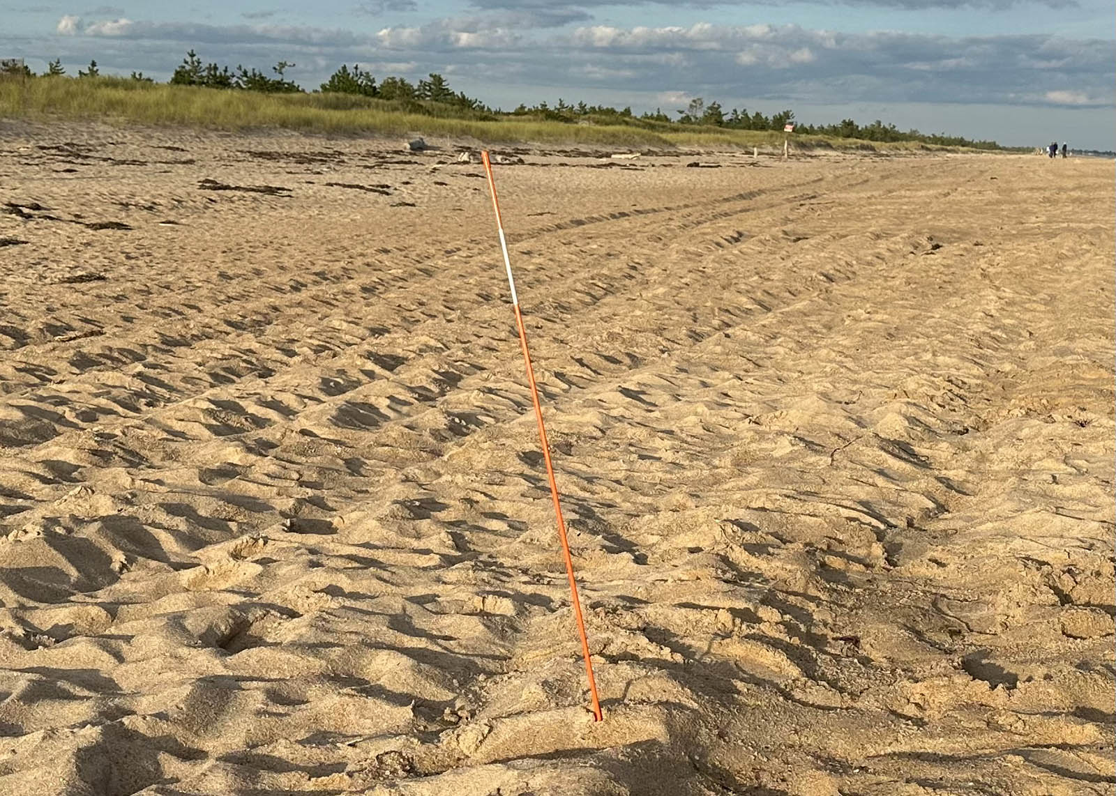 No simple walk on the beach: Scientists decipher shoreline access law for public in Charlestown No simple walk on the beach: Scientists decipher shoreline access law for public in Charlestown