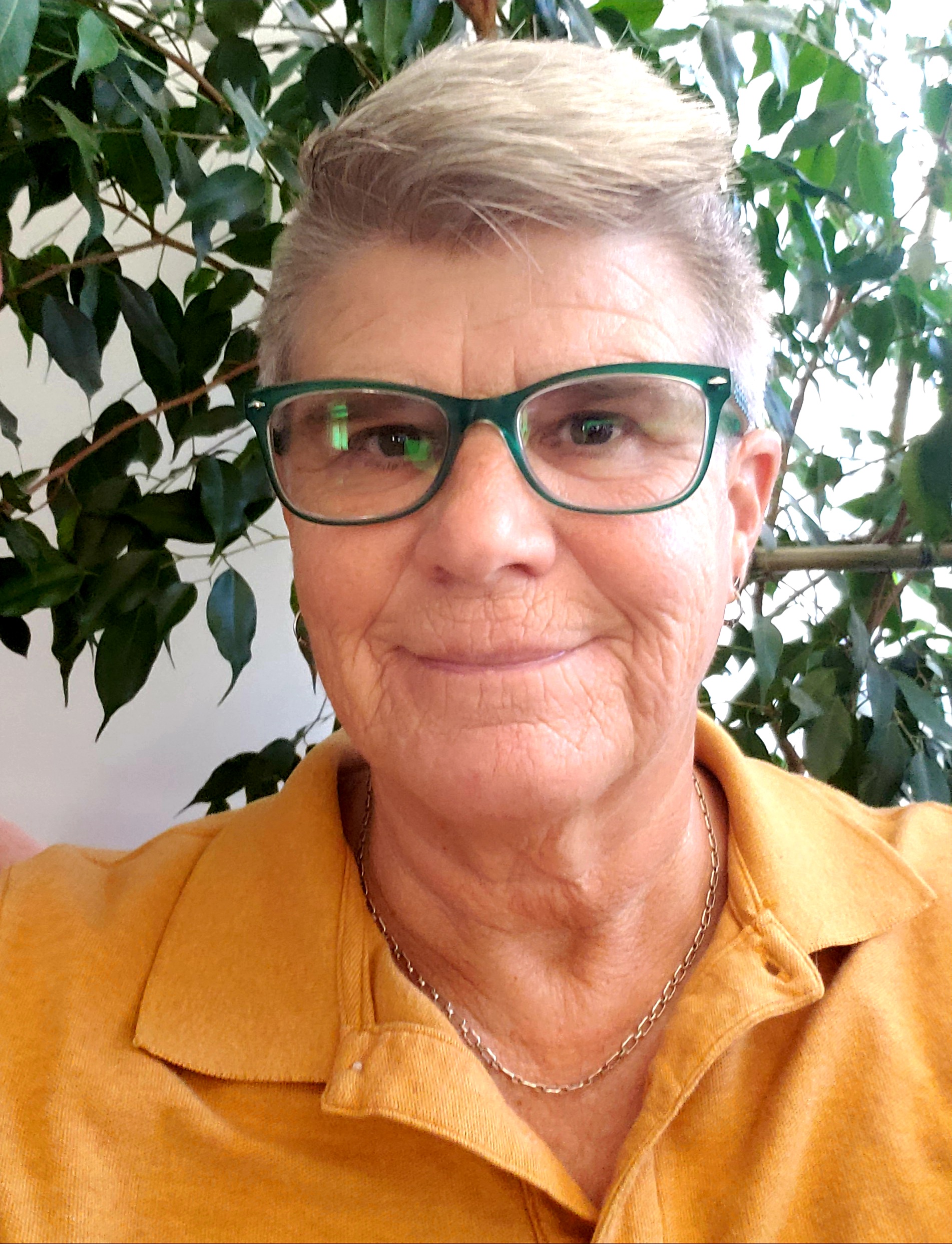 Many Medicaid benefits are optional under the law. For many Idahoans, they’re anything but. Mel Leviton