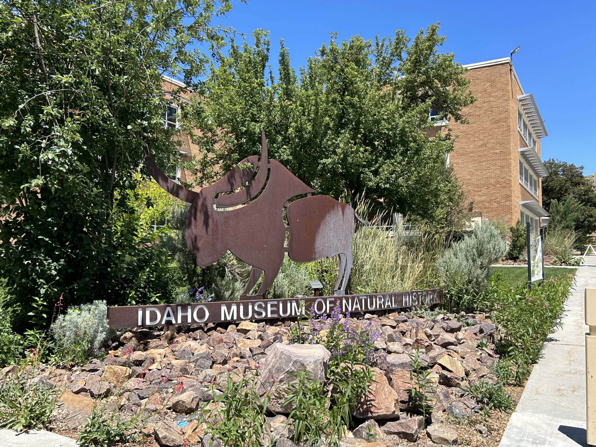 Event highlights Idaho’s native plants — including some that flourished millions of years ago Idaho Museum of Natural History on ISU's campus in Pocatello