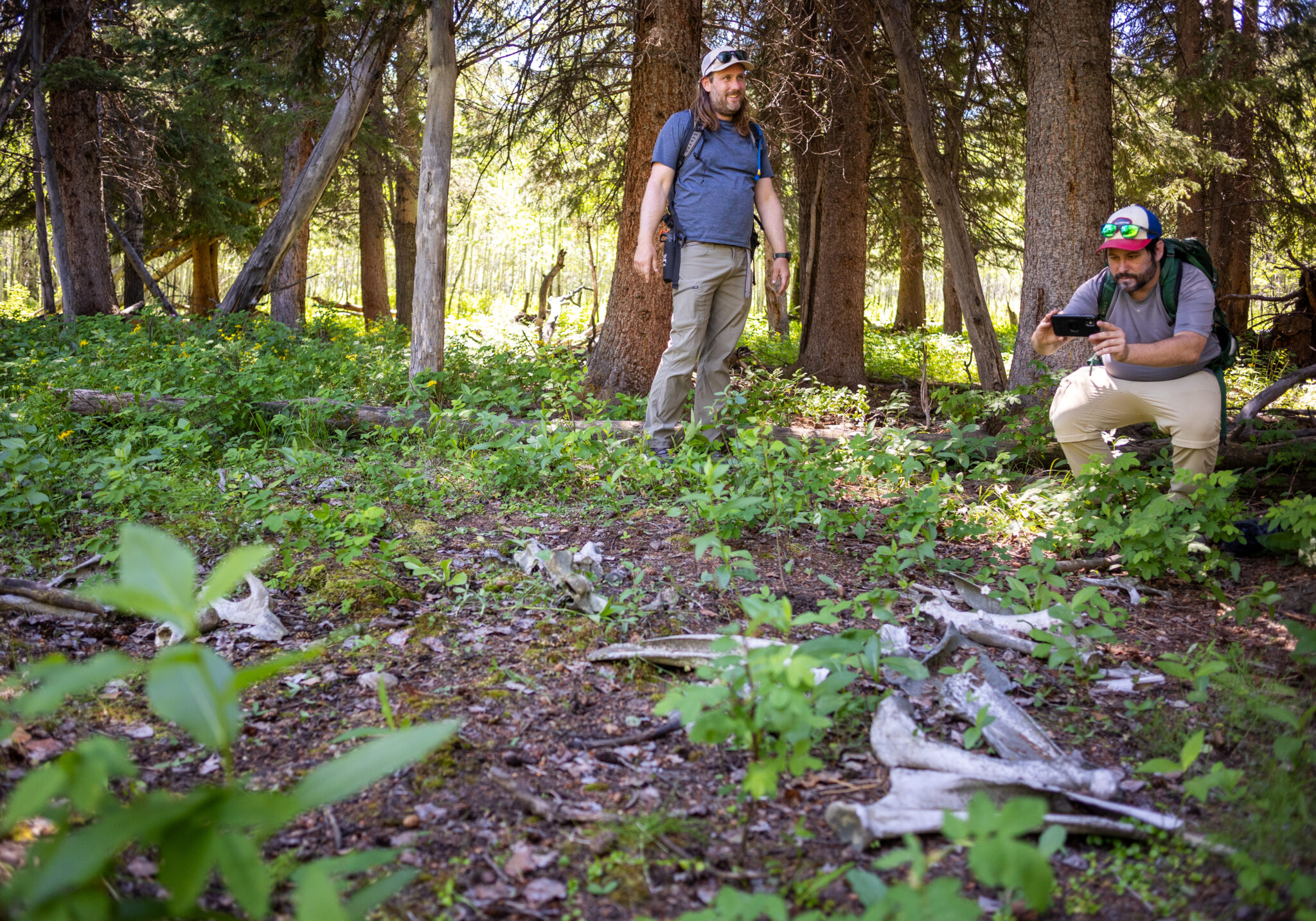 Road trips, bear spray and a full moon(ing): How we made the Howl podcast and story series Road trips, bear spray and a full moon(ing): How we made the Howl podcast and story series